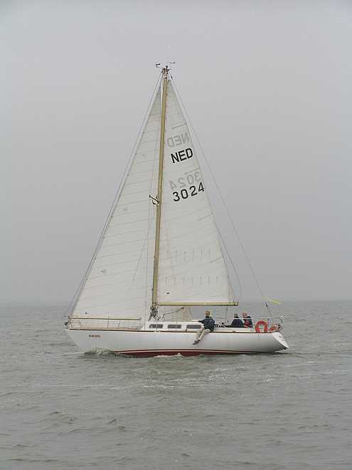 One  Off Dirk Dijkstra met een Bordine